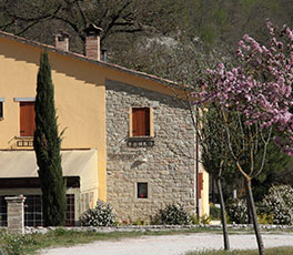 villa augusta